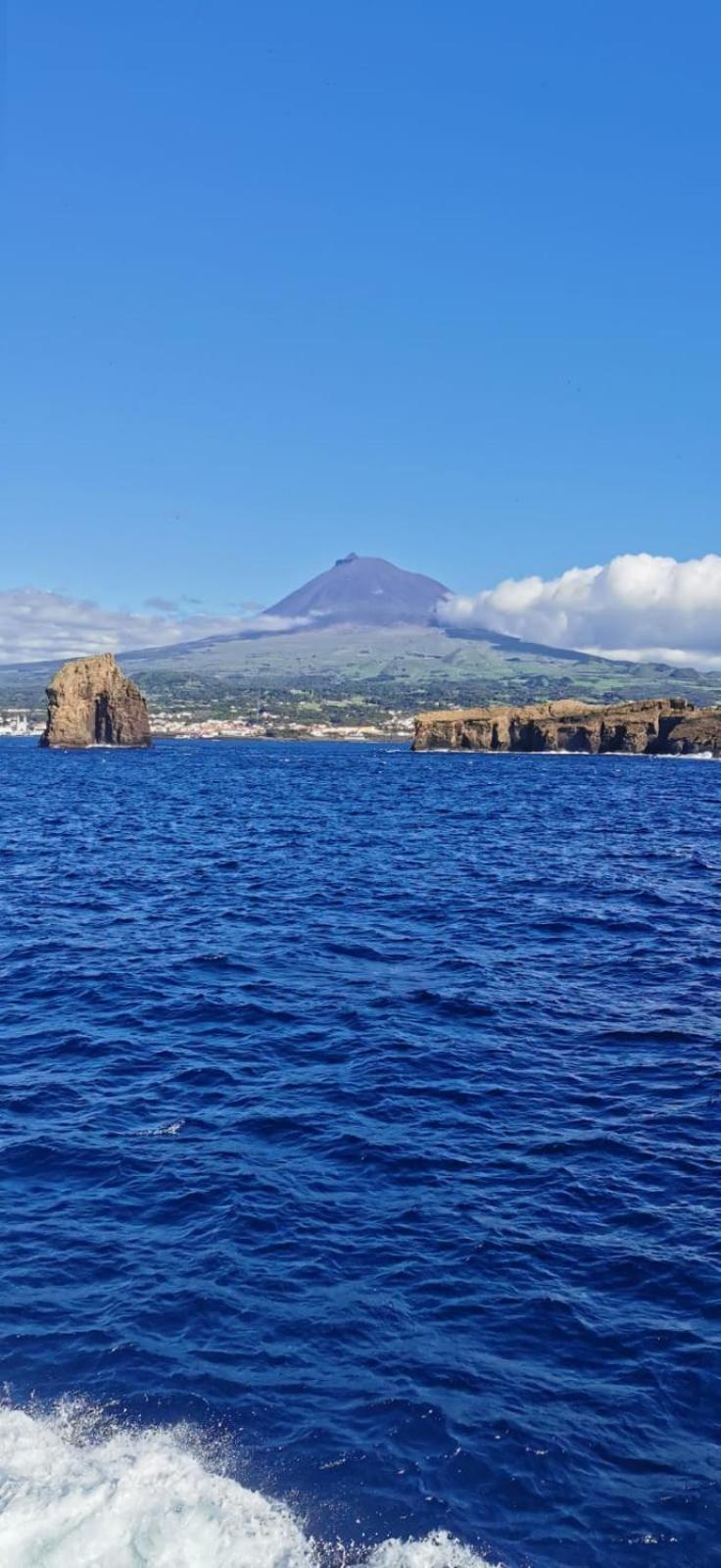 Azores Blue Bay Madalena  Luaran gambar